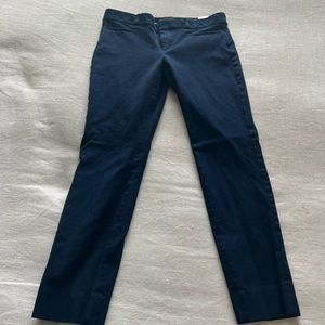 Banana Republic Navy Sloan Slacks